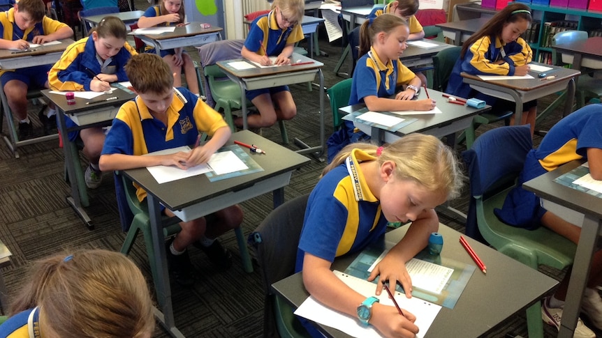 Students from Ferny Grove State School sit the NAPLAN test