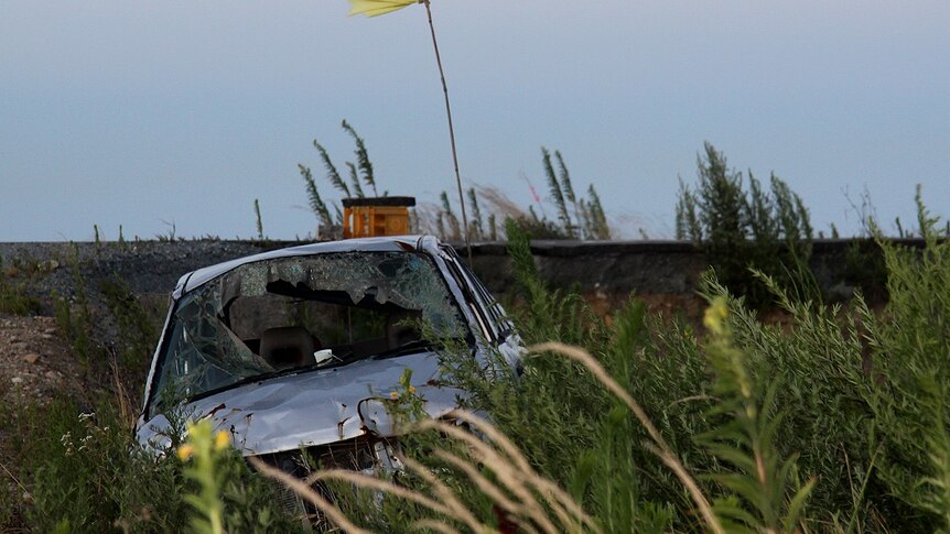 Floodplain at Odaka on July 31. The flag indicates someone was found in the vehicle.