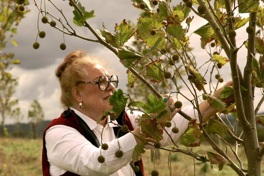 Dr Mary Cole with one of the memorial trees