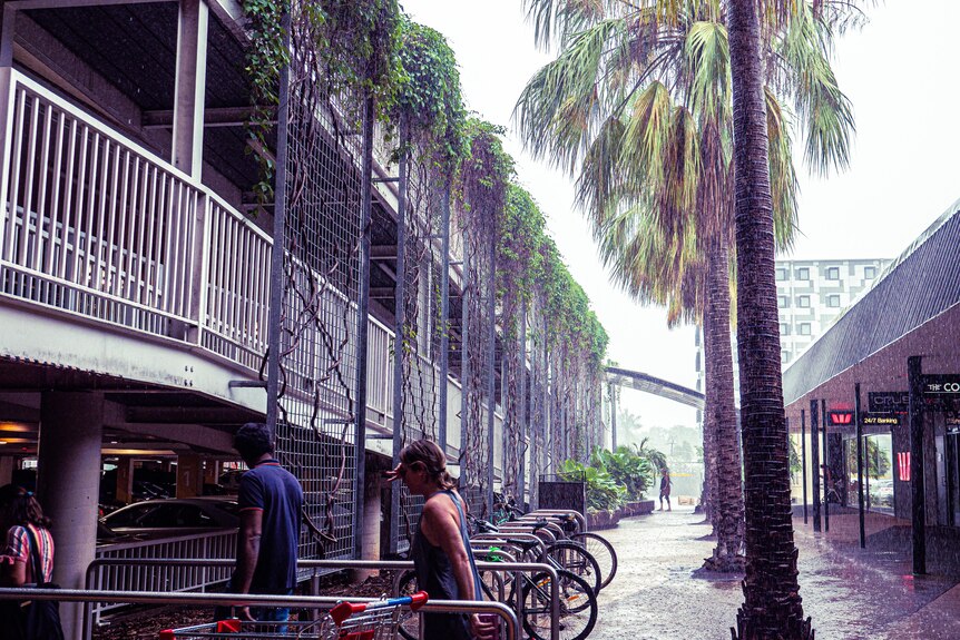 Wet day. Palms. Metal cages on the side of a multistorey car park with vines growing. bike parking. People walking.