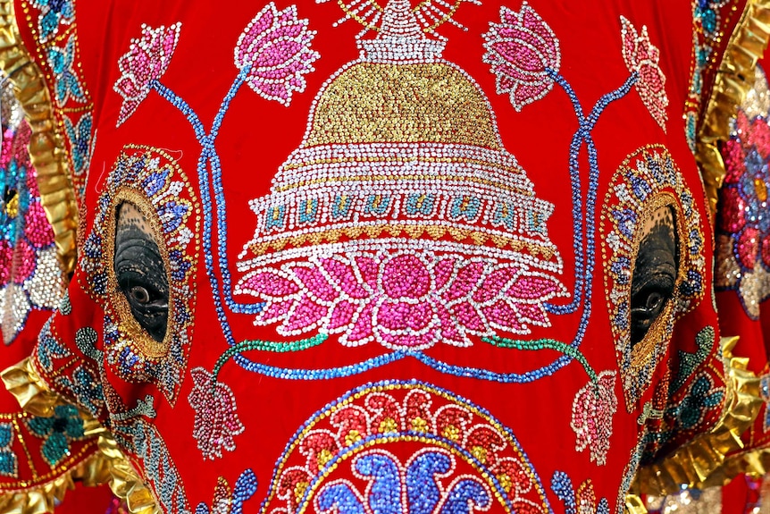 An elephant wears a bright red head covering decorated with glitter patterns.