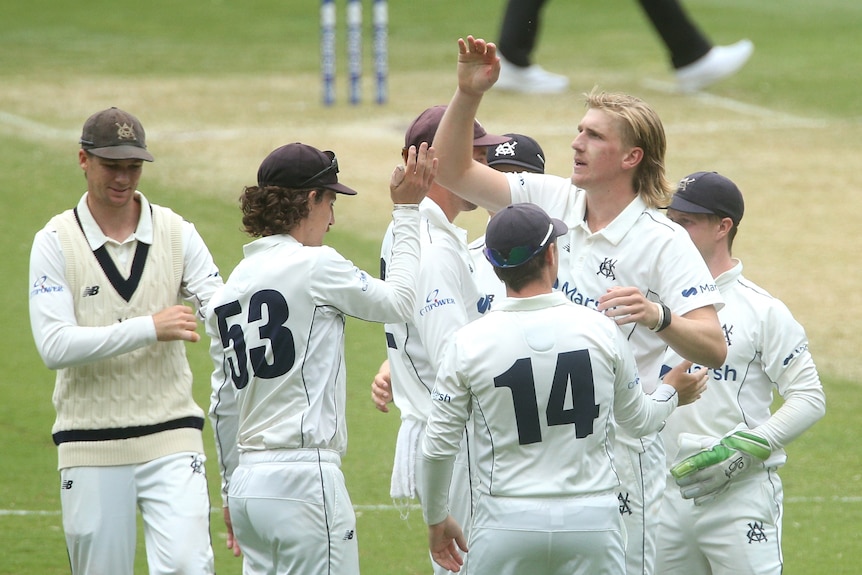 A tall cricketer with a mullet high fives with his team mates after taking a wicket