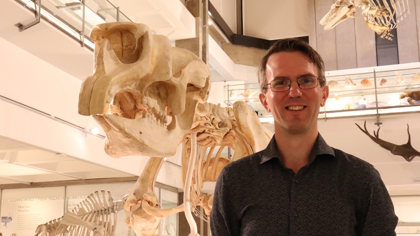 A man in glasses stands in front of suspended dinosaur skeletons.