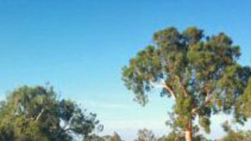 Floodwaters cut a road at Bibbawarra Crossing in Carnarvon