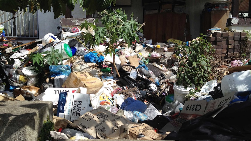 Waverley Council has been given the go-ahead to clean this house in Bondi, where the residents have been hoarding rubbish for years