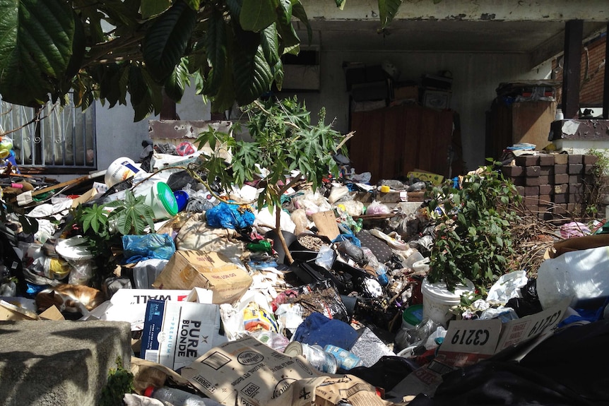 Waverley Council has been given the go-ahead to clean this house in Bondi, where the residents have been hoarding rubbish for years