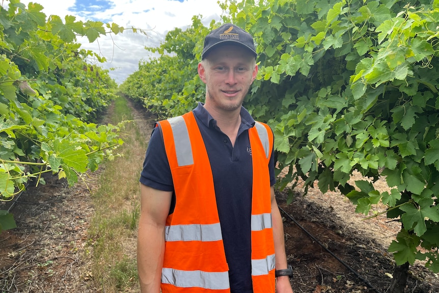 A man with a light beard, wearing a cap and a high-vis vest stands in a vineyard.