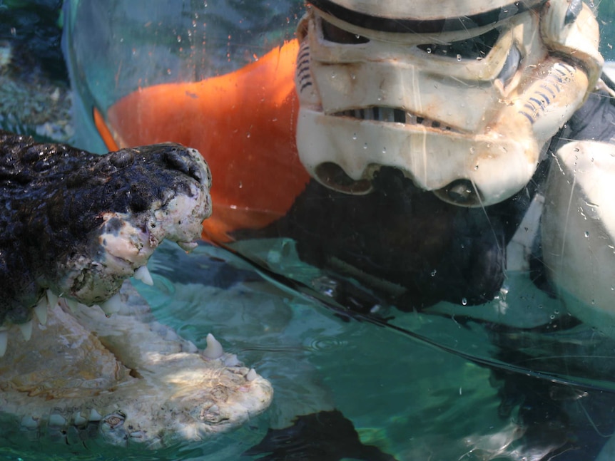 Scott Loxley, who is walking around Australia as a Star Wars stormtrooper for charity, meets 'Chopper' the croc in Darwin.