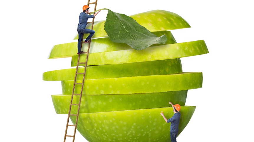 A graphic of a ladder going up a green apple with a man standing on the ladder.