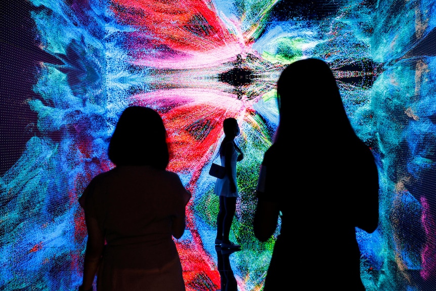 Visitors are pictured in front of an immersive art installation