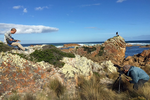 Artists perform and collaborate to help the Tarkine