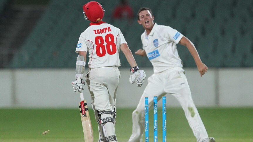 The Blues' Josh Hazlewood celebrates dismissing the Redbacks Adam Zampa at Adelaide Oval