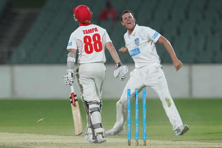 The Blues' Josh Hazlewood celebrates dismissing the Redbacks Adam Zampa at Adelaide Oval