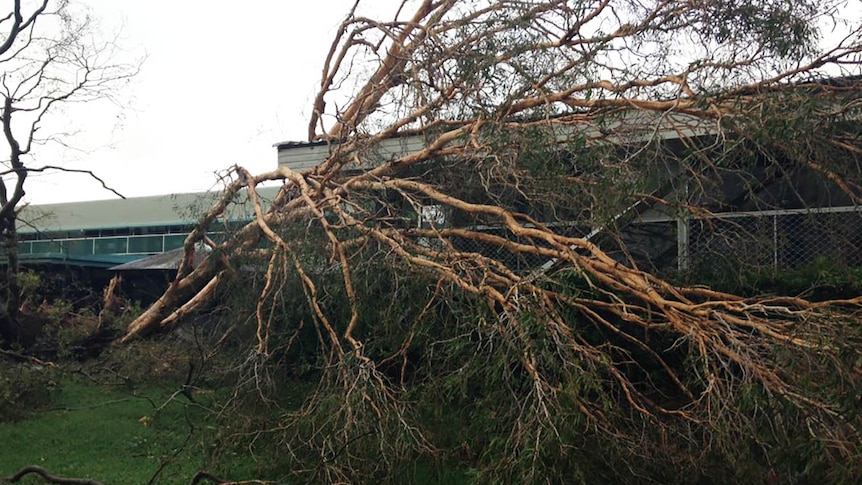 Fallen trees have made a mess at the Proserpine High School