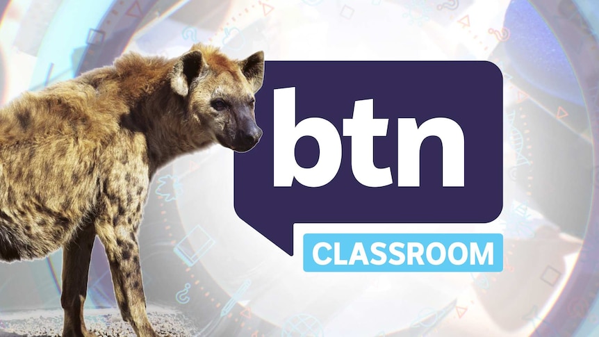 hyena standing in front of the BTN logo