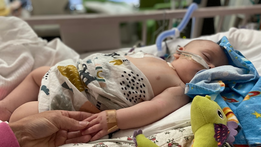 A baby in a hospital bed with a ventilator