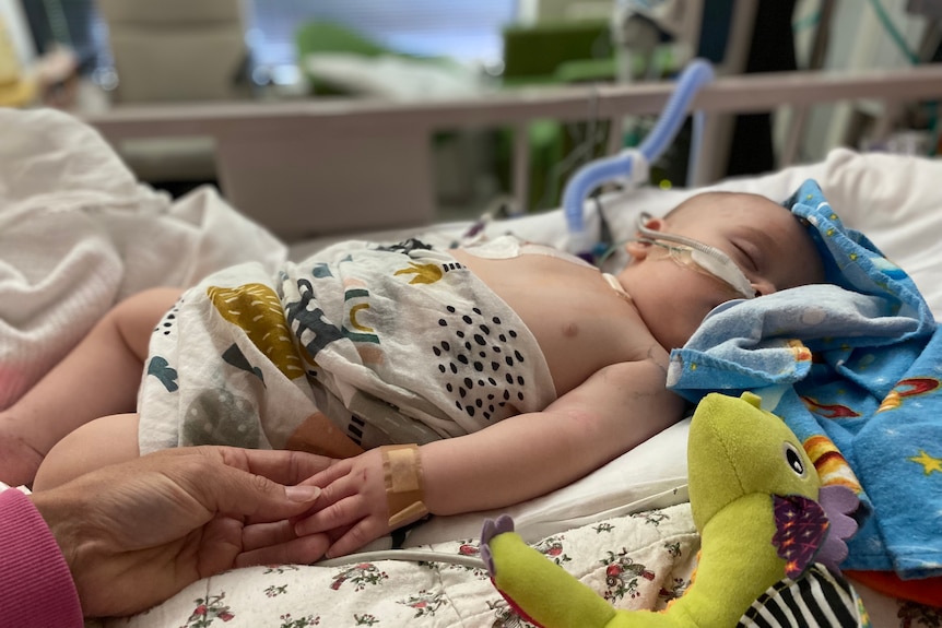 A baby in a hospital bed with a ventilator