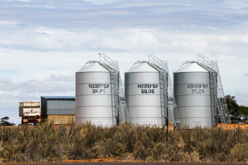 Barley silos in Western Australia's salt lake country.