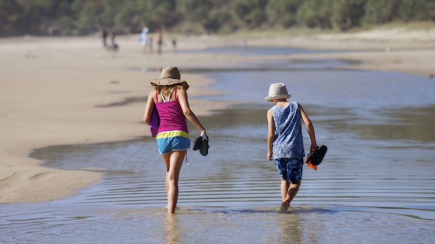 A young girl and a young boy walk in ankle deep water along a beach