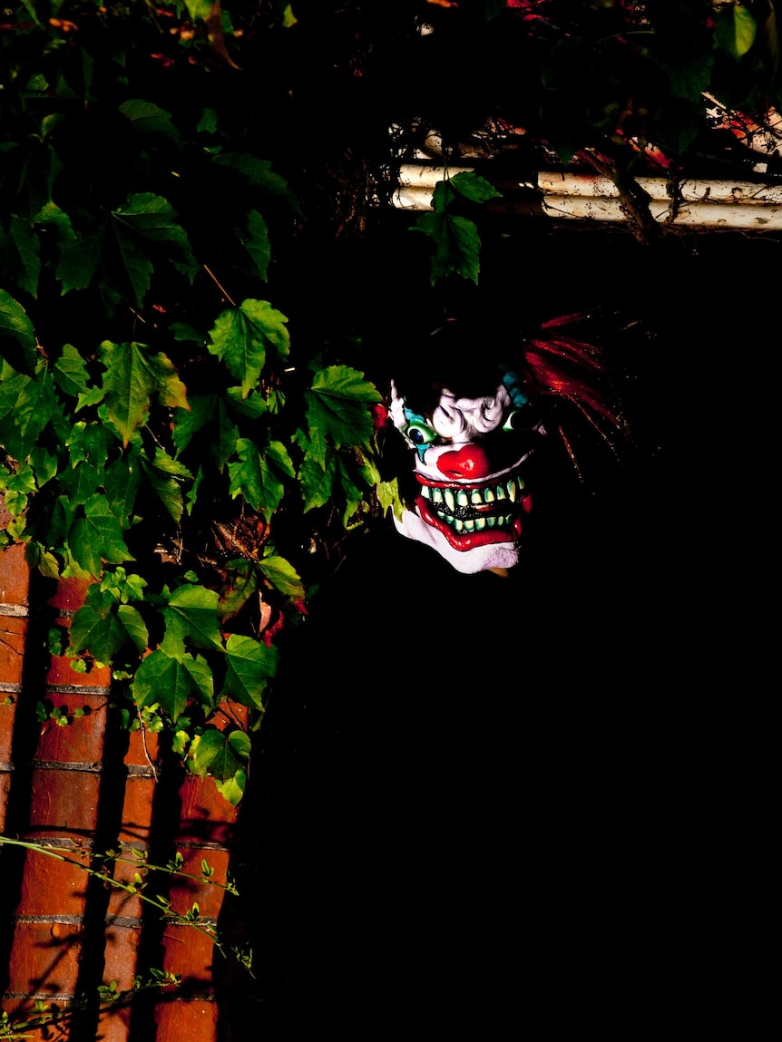 Scary clown hides in bush
