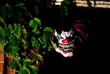 Scary clown hides in bush
