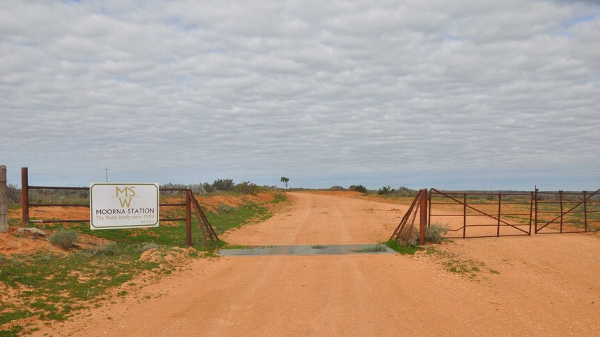 A dirt track through the front gate to Moorna Station.