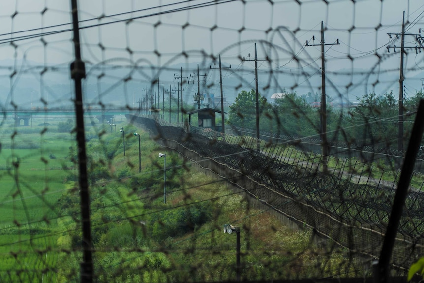 A close-up of tangled razor wire with green fields and train tracks in the background.