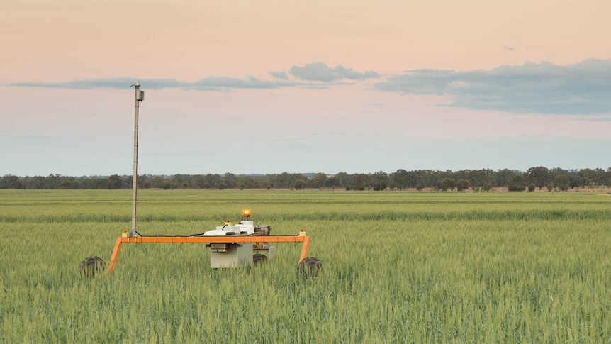 An autonomous robot which works in swarms to spray fertilise and harvest.