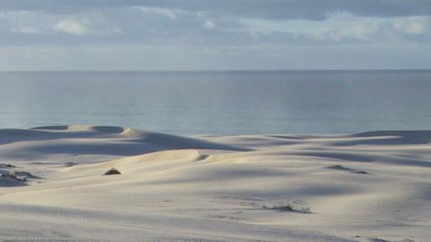 Nullarbor declared wilderness protection area