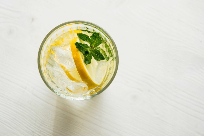 Drink with mint and slice of lemon