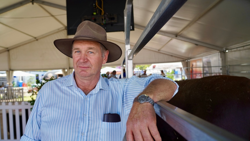 A middle-aged man in an Akubra leans against a rail in a stockyard.