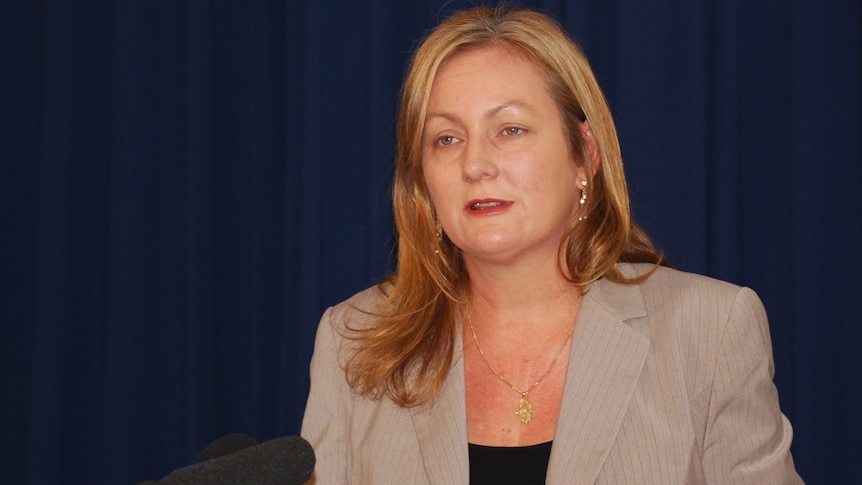 Labor condemns Tollner budget as too painful