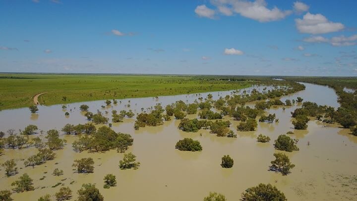 Heavy rainfall fills outback Georgina River