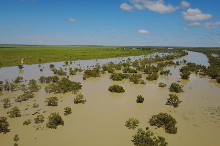 Heavy rainfall fills outback Georgina River.