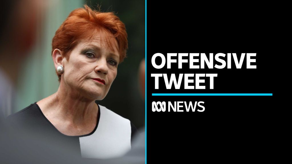 Greens Senator Mehreen Faruqi Sues Pauline Hanson Over Offensive Tweet ...