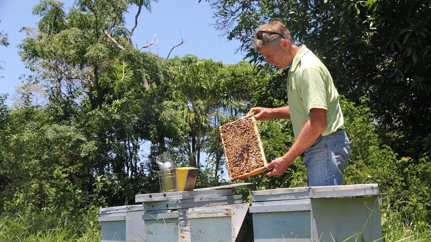 Paul Marsh holds up honeycomb with bees on it.