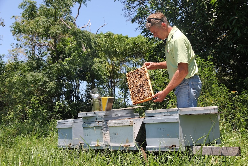 Paul Marsh holds up honeycomb with bees on it.