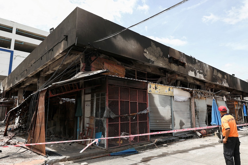 A general view of the exotic animal shops after a fire.
