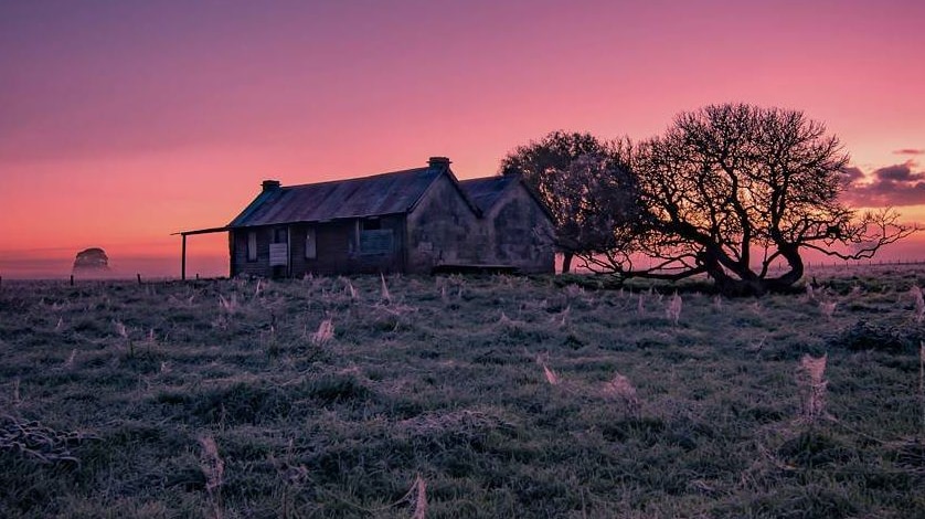 Frosty spider webs in a field near a cabin at Glencoe in South Australia.