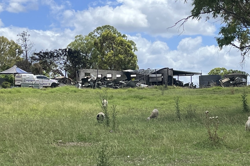 A paddock of sheep in the foreground with a burnt out shed in the background. 