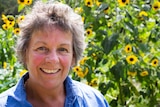 Smiling woman in sunflower bed