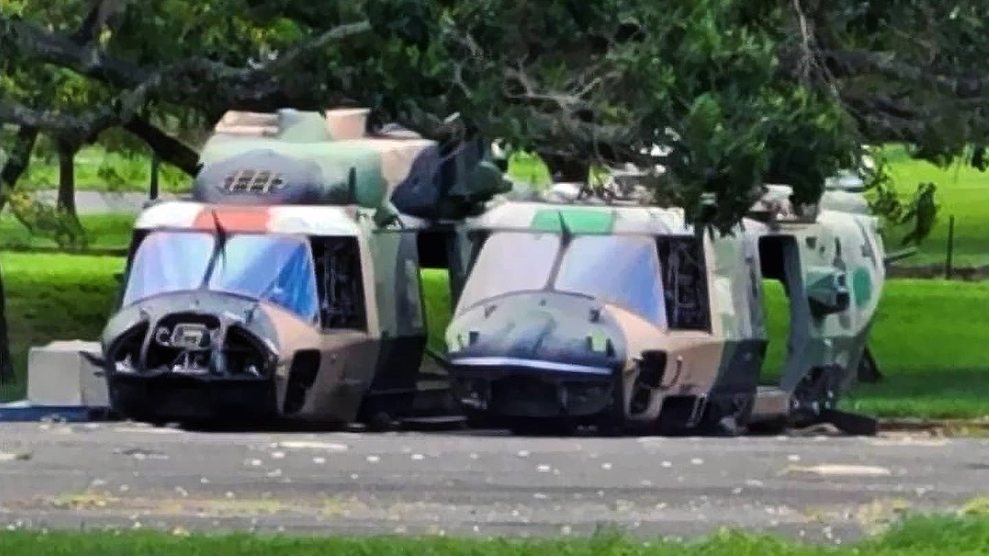 two helicopters on the ground underneath a tree.