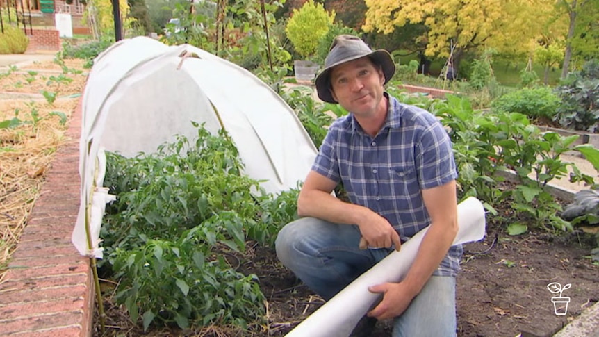 Man in hat crouching next to covered vegetable garden bed