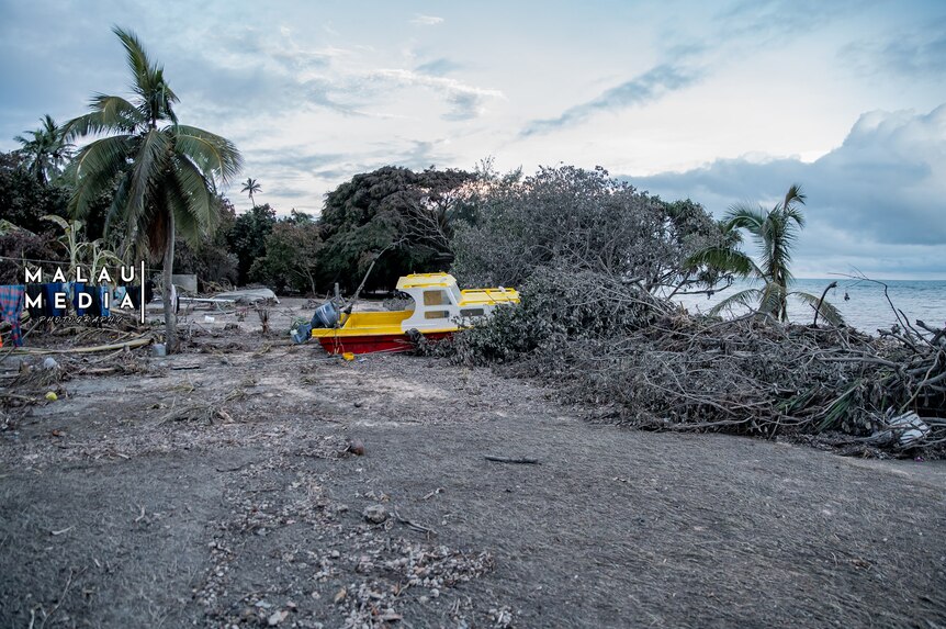 Bright yellow and red boat washed onto land amongst fallen trees.