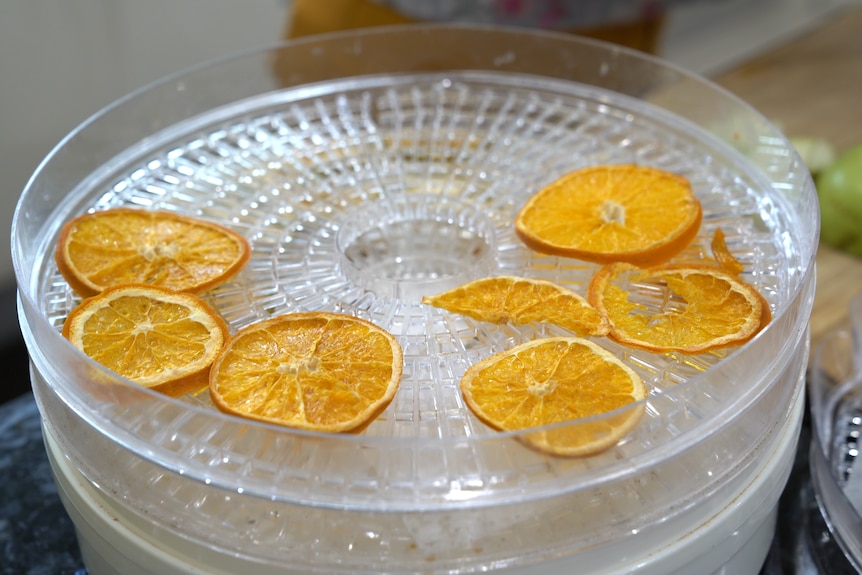 Dehydrator smelling after use