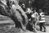 Five children play around a scarred tree with broad limbs in a park.