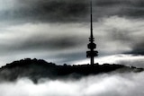 Black Mountain Tower in Canberra appears through mist.