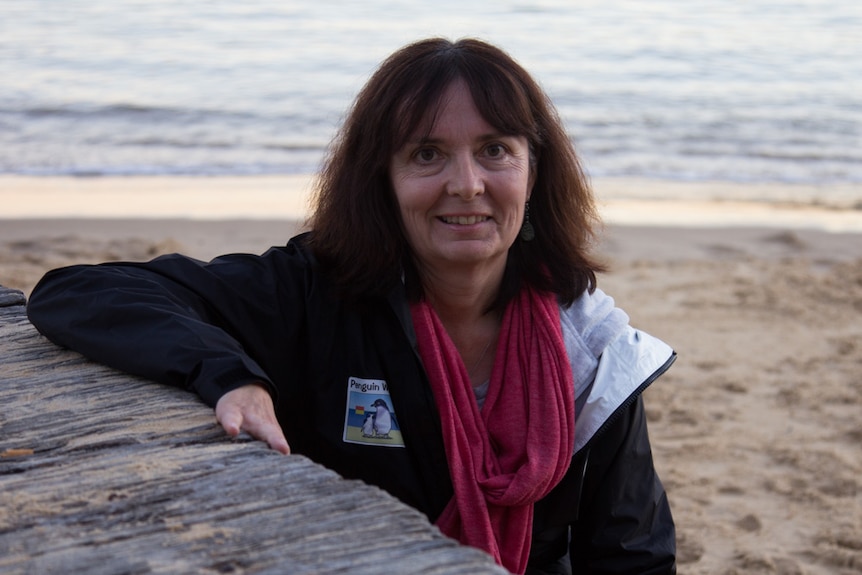 Penguin warden Sally Garman on Manly Cove beach