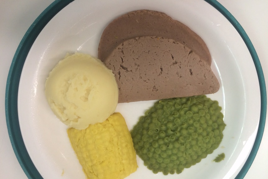 A plate of pureed moulded roast beef