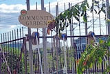 Perth City Farm garden